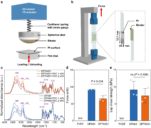 [연구그림] 개발된 바인더의 접착 메커니즘과 접착력 측정 결과