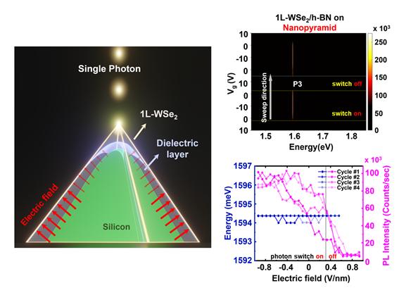 Schematic diagram showing the electric field distribution in 1L-WSe2 on a Si nanopyramid.