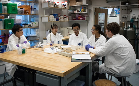 연구/인턴십 프로그램