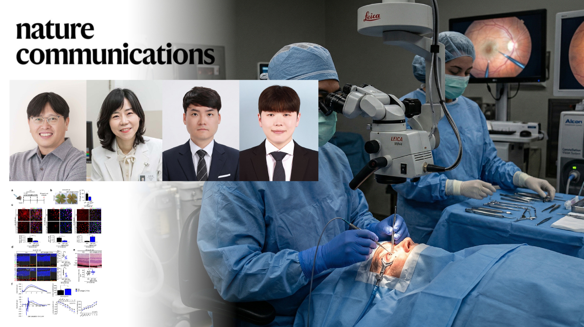 Targeted Nanoparticles Eliminate Aging Retinal Cells to Reverse Vision Decline