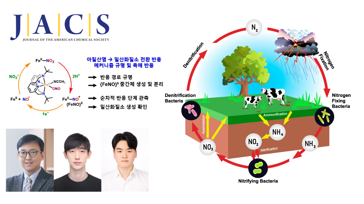 Breakthrough Observation of Transient Intermediate in Nitrite-to-Nitric Oxide Conversion