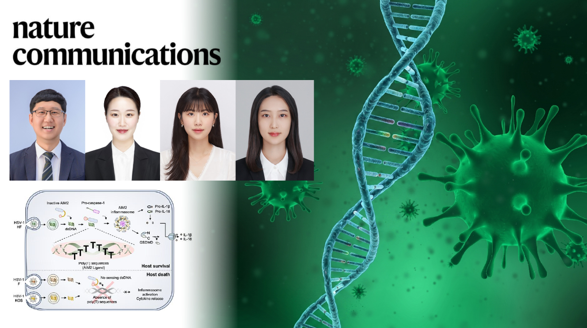 New Study Unveils Viral DNA ‘Barcode’ that Activates Innate Immunity, Opening New Therapeutic Avenues