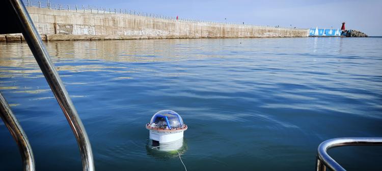 Unveiling Smart Buoys for Marine Environment Monitoring!