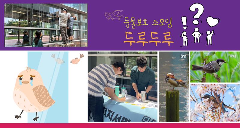 유리창으로 돌진하는 박새, 딱따구리 지킨다!.. 동물보호 소모임 두루두루