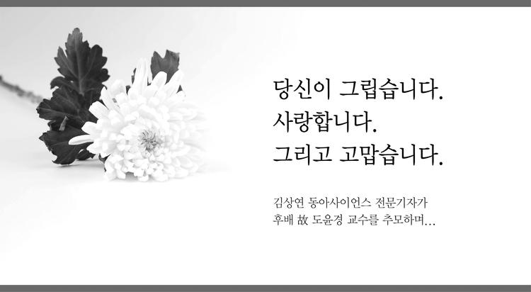 "윤경아, 참 잘 버텨냈다, 넌 썩 잘 해냈다"
