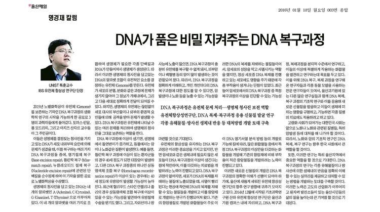 [명경재 칼럼] DNA가 품은 비밀 지켜주는 DNA 복구과정