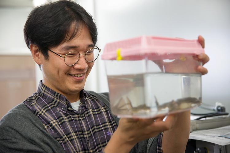 "개구리 유전자로 난치병 잡아야죠!"