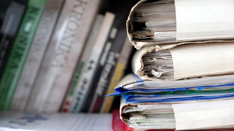 진실과 거짓의 혼돈