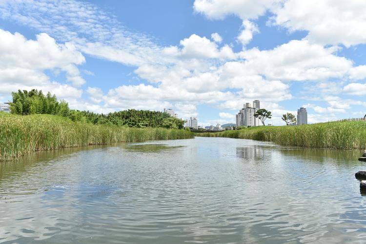 새로운 울산을 꿈꾸며