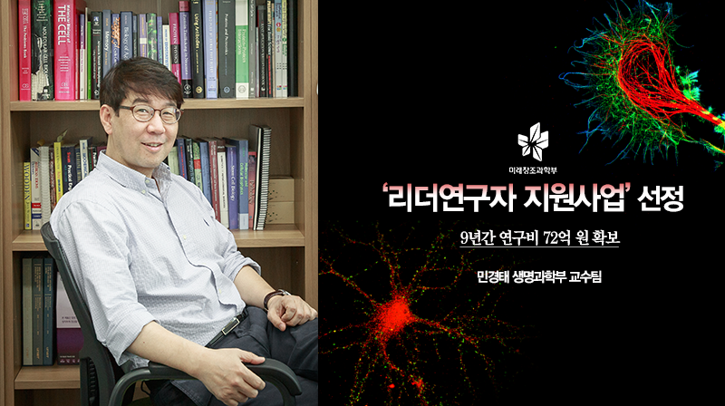 세포핵서 단백질이 합성된다면?… 단백질 연구의 새 페이지 연다