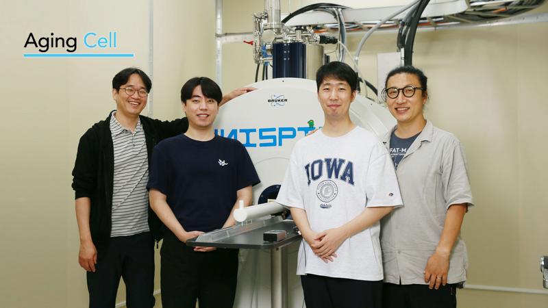 늙으면 철(Fe) 쌓이는 뇌, 신경세포의 대응법 찾았다