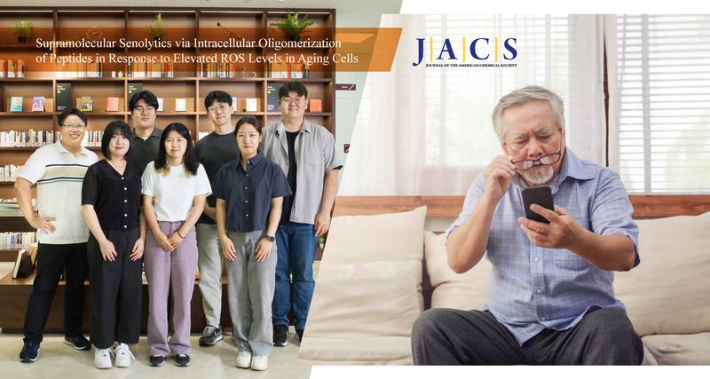 노화세포만 선택적으로 제거하는 기술 개발했다!