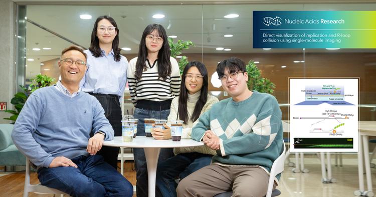 세계 최초, DNA 복제서 발생하는 현상 실시간 관찰했다