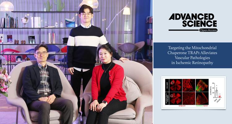 안약으로 쉽게 치료한다, 당뇨망막병증 치료제 개발