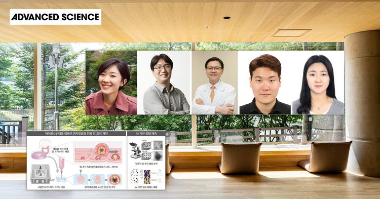 “암 조직 자란 모양만 봐도 AI가 예후 예측”... 암 성장 환경 모사 기술 개발