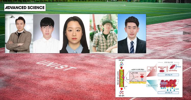 “끈끈한 혈전이 세균 포획”... 감염 잡는 혈액 정화 기술 개발