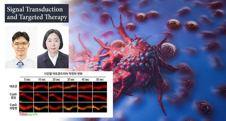 암세포가 만든 가짜 신호 회로 끊어내자 암 전이 멈췄다!