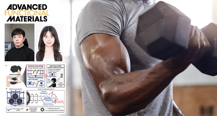 고무처럼 늘어났다 강철처럼 단단해지는 인공 근육 개발