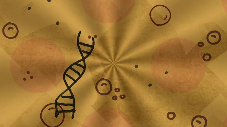 [박종화의 게놈이야기(44)] 최초 한국인 게놈 분석 논문 작성과 표준게놈