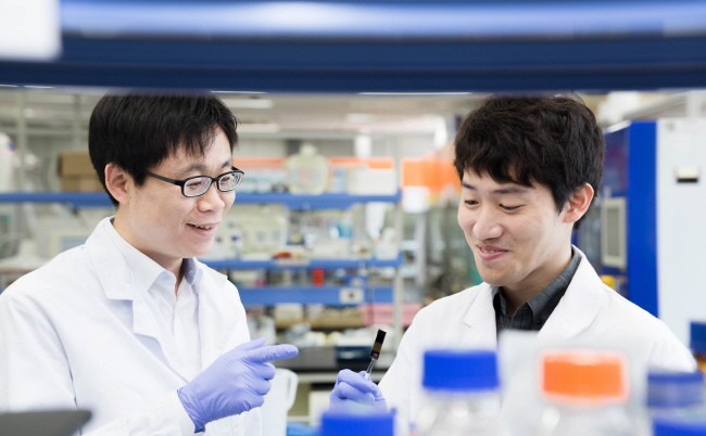 Engineering High-performance Light-emitting Structure