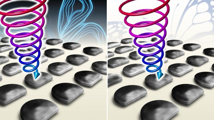 Scientists, Discovering the Secrets of Nanoworld