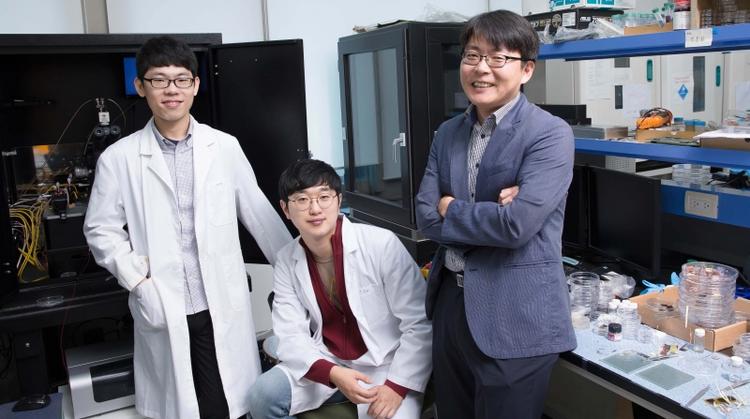 Smart Artificial Skin Holds Prosthetic Promise