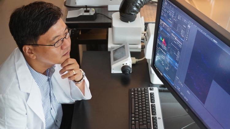 Cancer Breakthrough at UNIST, Using Plant-derived Baicalein