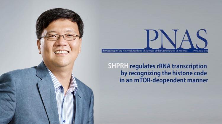 Discovery of New Protein, Regulated by Cellular Starvation