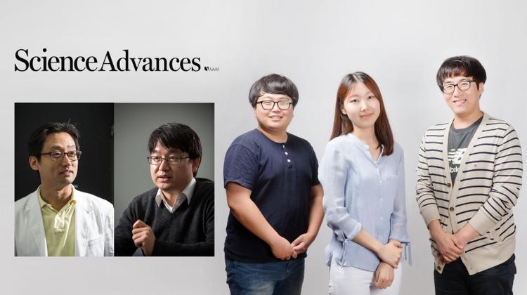 New Polymer Boosts Output Performance of Triboelectric Nanogenerators