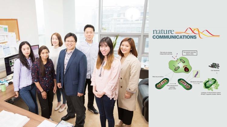 Scientists Pave Way for New Generation of Anti-cancer Drugs