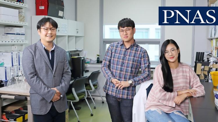 Researchers Reveal A New Pathway of Phospholipid Trafficking