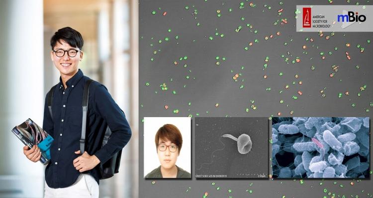 UNIST Researchers Reveal How One Bacterium Inhibits Predators with Poison