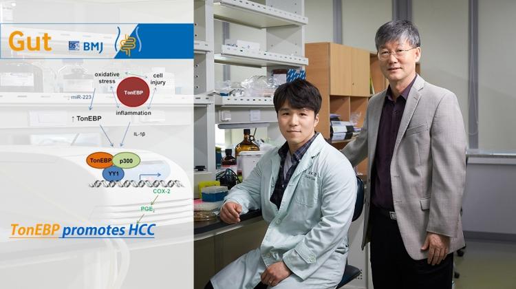 Groundbreaking Study Sheds Light on Treating Liver Cancer