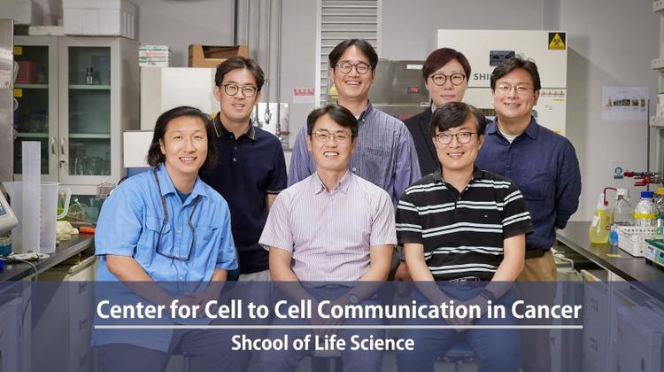 Combatting Canter with Cell Signaling