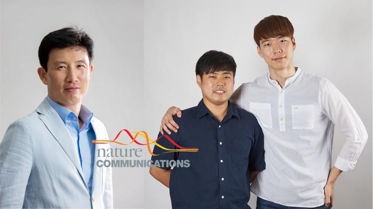 Novel Catalyst for High-energy Aluminum-air Flow Batteries