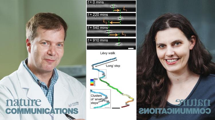 New Study Reveals Metastatic Cancer Cells Exhibit Predatory Behavior of Animals