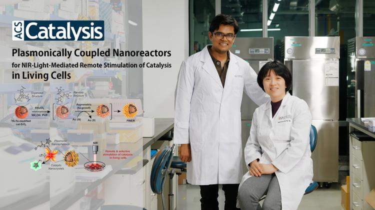 Scientists Introduce Novel Synthetic Strategy for PINERs