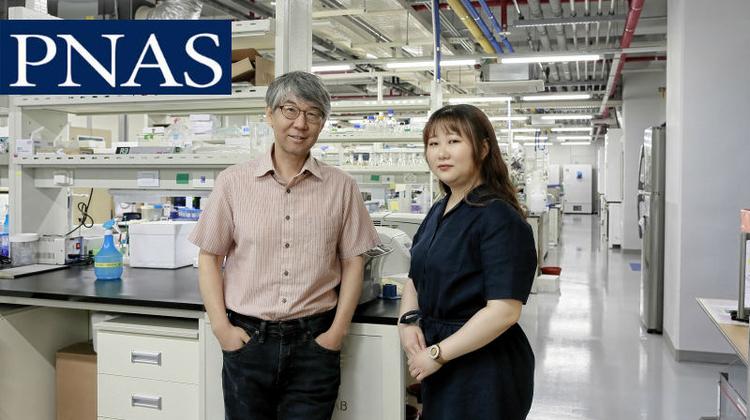 New Study Reveals A Novel Way to Promote Axon Regeneration