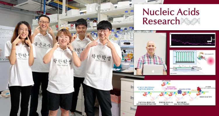 Revealing the Damage Search Mechanism for Human NER Protein "XPC-RAD23B"