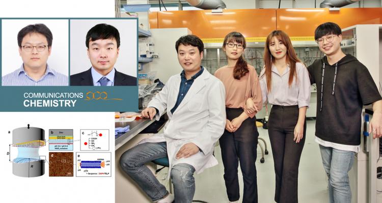 Probing Molecular Mechanisms of M13 Bacteriophage Adhesion