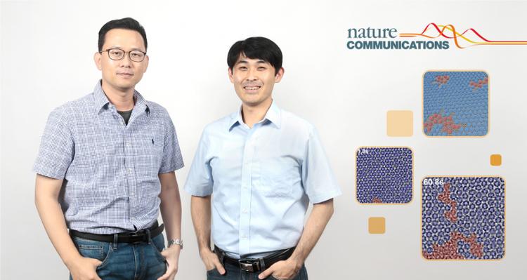 New Study Presents Direct Imaging of Structural Disordering and Heterogeneous Dynamics of Fullerene Molecular Liquid