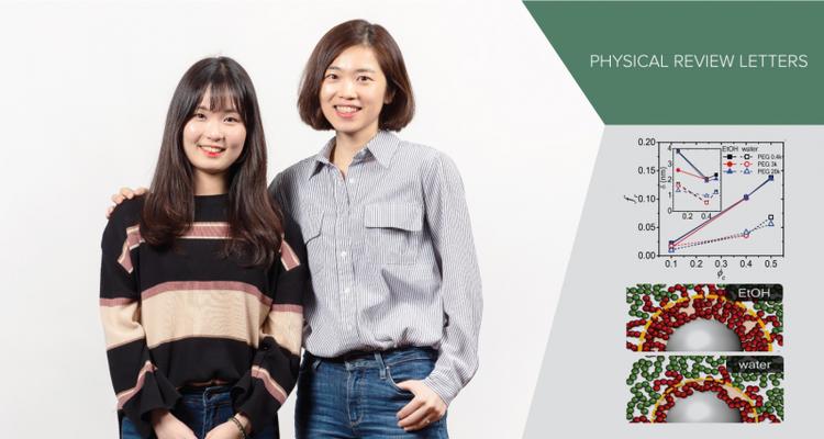 Initial Solvent-Driven Nonequilibrium Effect on Structure, Properties, and Dynamics of Polymer Nanocomposites