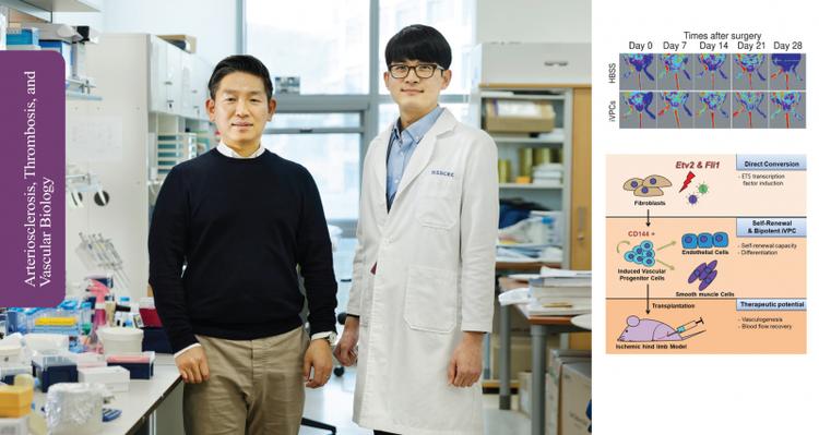 Etv2-and Fli1-Induced Vascular Progenitor Cells Enhance Functional Recovery in Ischemic Vascular Disease Model