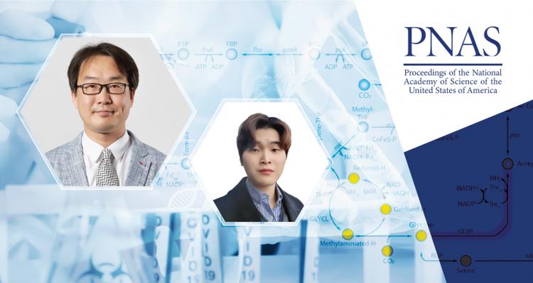 Functional Cooperation of Glycine Synthasereductase and Wood–Ljungdahl Pathways for Autotrophic Growth of Clostridium Drakei