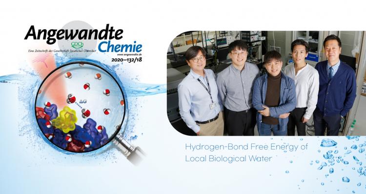New Study Presents Hydrogen-Bond Free Energy of Local Biological Water
