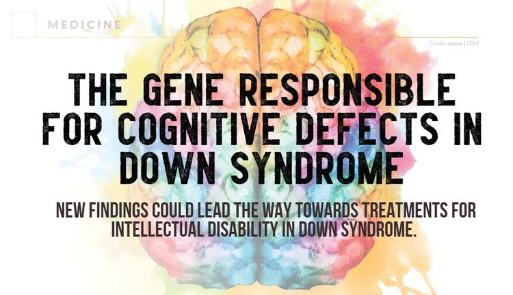 "New findings could lead the way towards treatments for intellectual disability in Down syndrome."