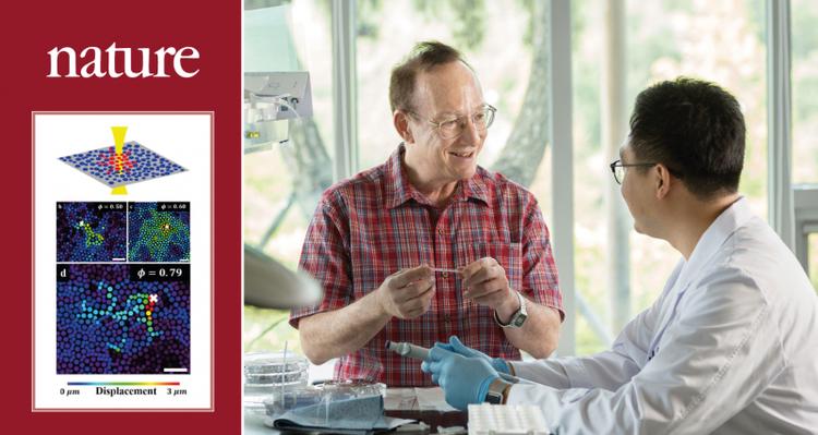 Researchers Probe the Cage Formation of the Glass at Surgical Precision!