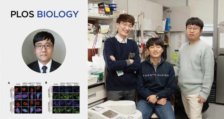 Scientists Identify Genetic Pathway that Suppresses Lou Gehrig's Disease