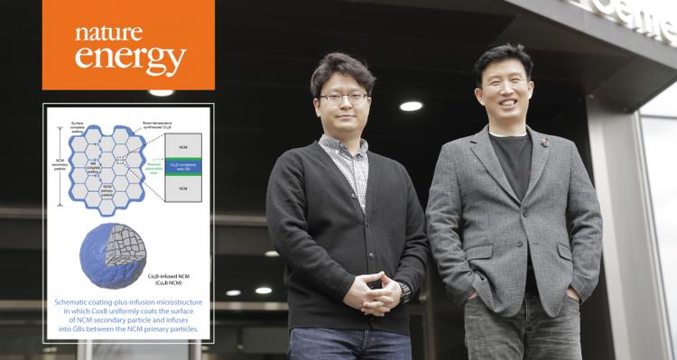 Reactive Boride Infusion Stabilizes Ni-rich Cathodes for Lithium-ion Batteries