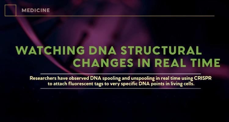 Watching DNA Structural Changes in Real-Time!